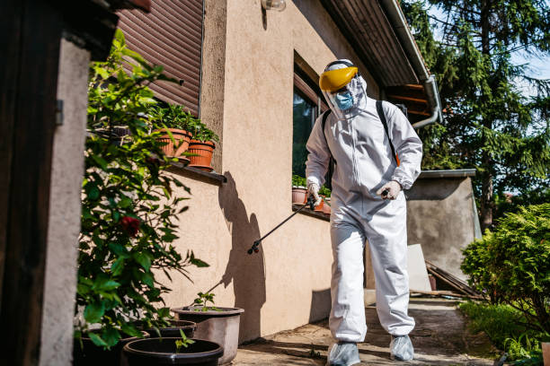 Best Pest Control Near Me  in Castle Pines Village, CO
