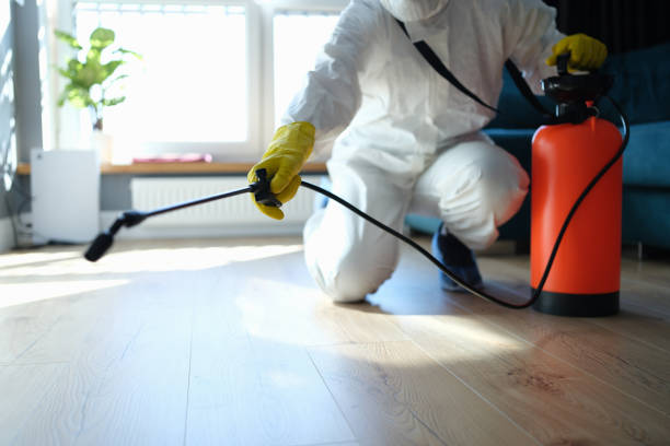 Best Best Pest Control Companies  in Castle Pines Village, CO
